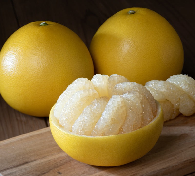 2026 (3)【ご贈答用】黒潮育ち 土佐文旦 10kg（14〜21玉） – 森本果樹園