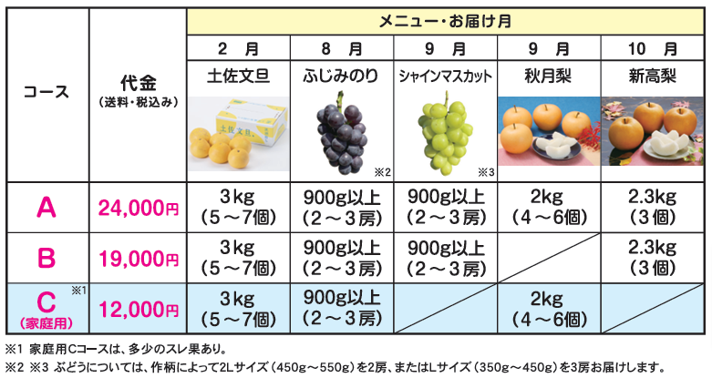 フルーツプリントトップ☆最終値下げ☆ FRUITS ZIPPER、念願の初東京ドーム公演で5万人が熱狂！初披露の新曲