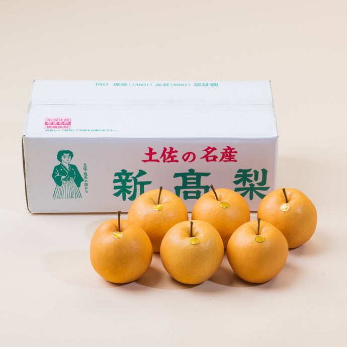 2025-え【ご贈答用】新高梨 ６〜７玉入(600~700g x6~7玉)【送料込み】