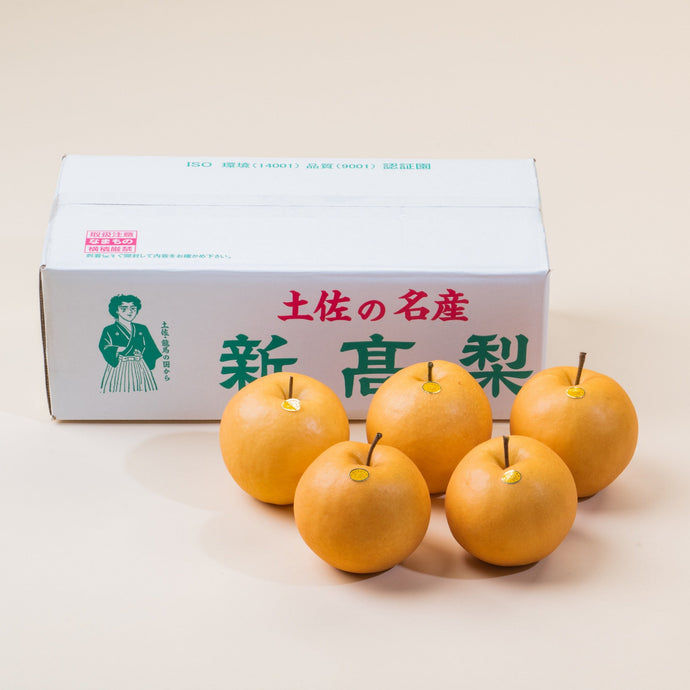 2025-う【ご贈答用】新高梨 ５玉入(約800g x5)【送料込み】