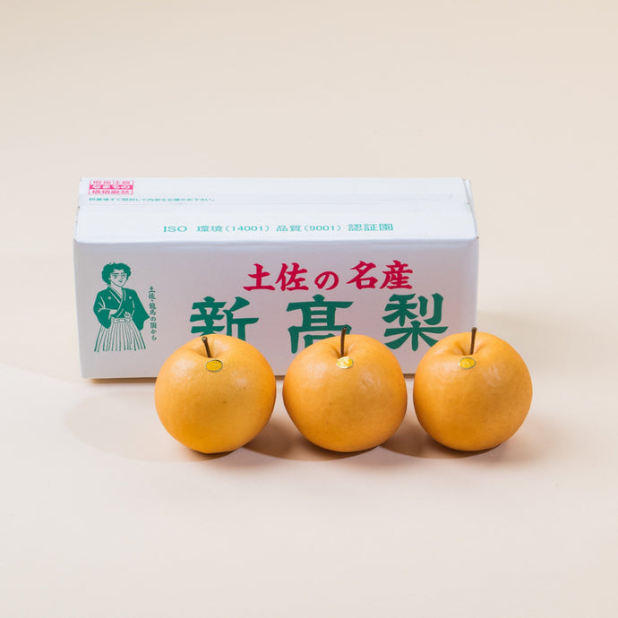 2025-い【ご贈答用】新高梨 ３玉入(約800g x3)【送料込み】