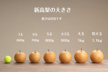 画像をギャラリービューアに読み込む, 2025-あ【ご贈答用】新高梨 大玉２玉入（約900g x2）【送料込み】