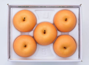 2023 C【家庭用】あきづき（秋月梨）大箱（８〜１２玉）　約4kg