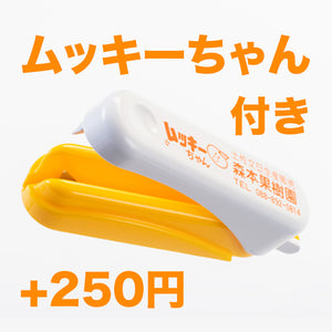 2024 (4)【ご家庭用】黒潮育ち 土佐文旦 3kg（6〜8玉入）