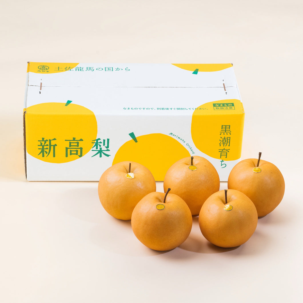 2026-う【ご贈答用】新高梨 5玉入(約750-800g x5)【送料込み】 – 森本