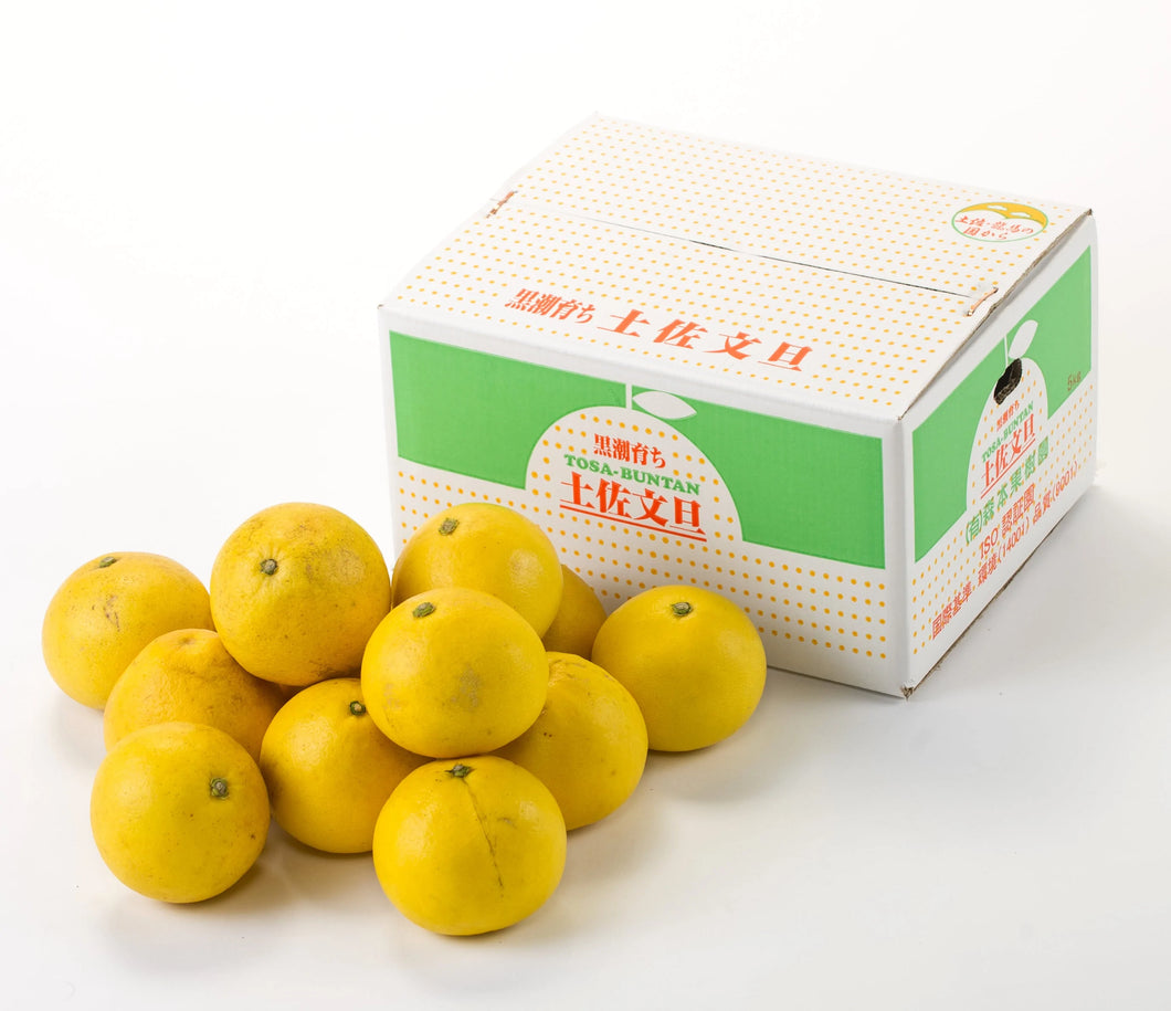 【ご家庭用】(5) 黒潮育ち 土佐文旦 5kg（８〜１２玉）