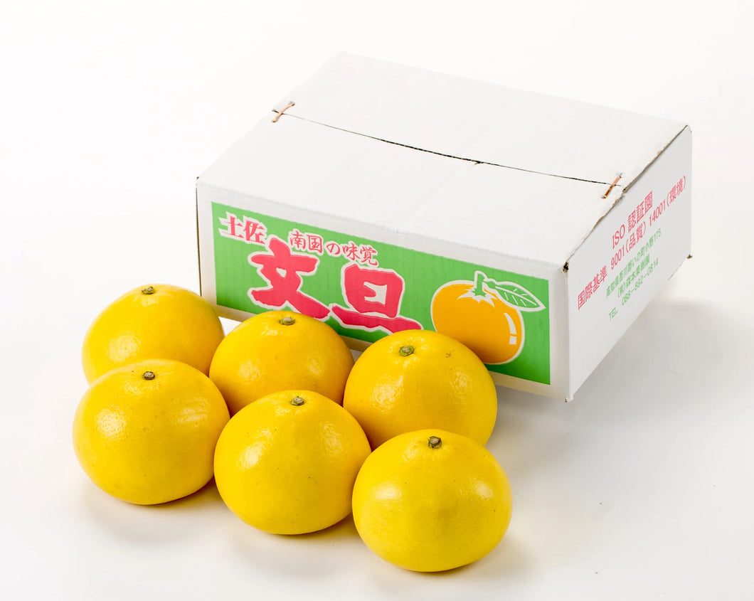 【ご贈答用】(1) 黒潮育ち 土佐文旦 3kg （５〜７玉）